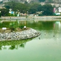 Therpet Lake Rejuvenation
